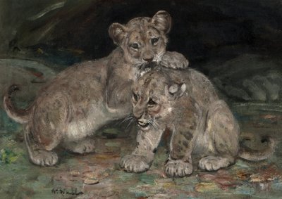 Lion Cubs, c.1906 by William Walls